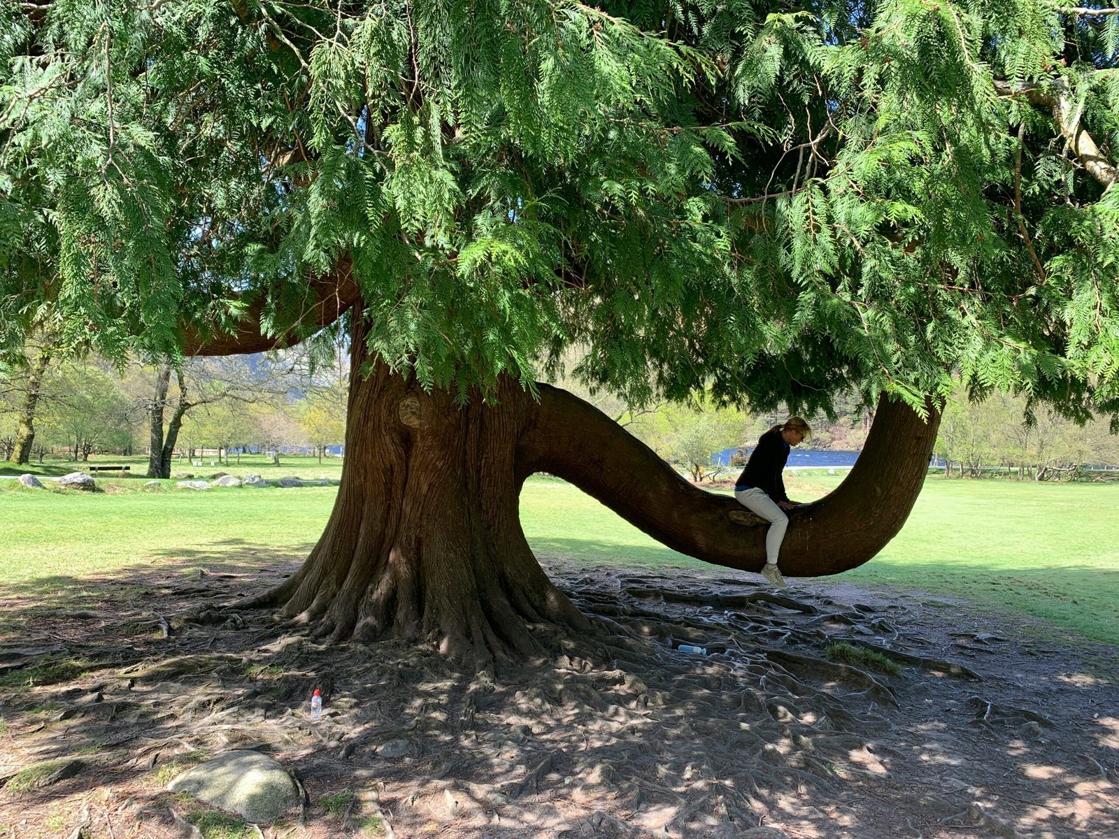 christian-ter-maat-64xktqDDTyg-unsplash