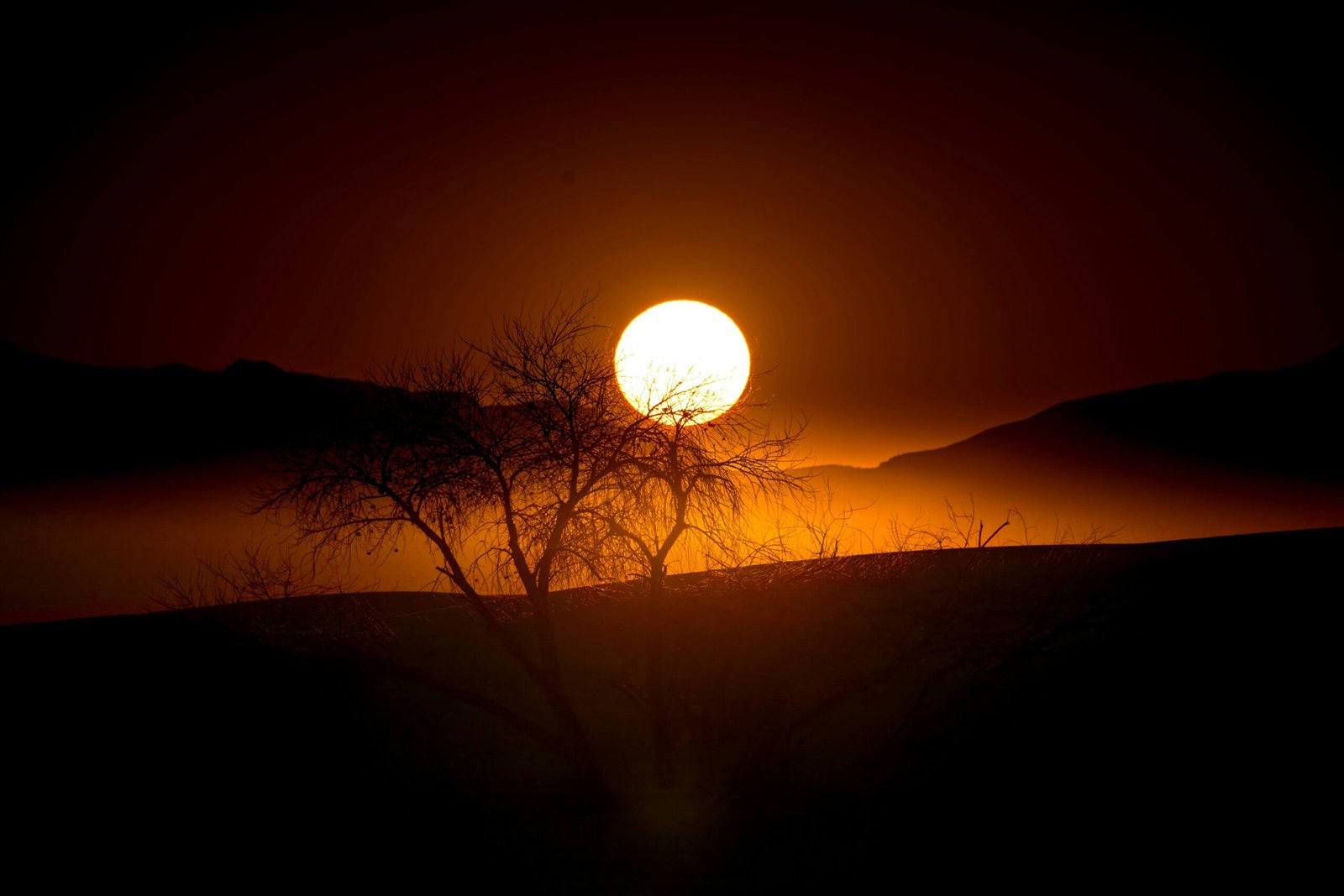 joseph-corl-bmCMuip50Qw-unsplash